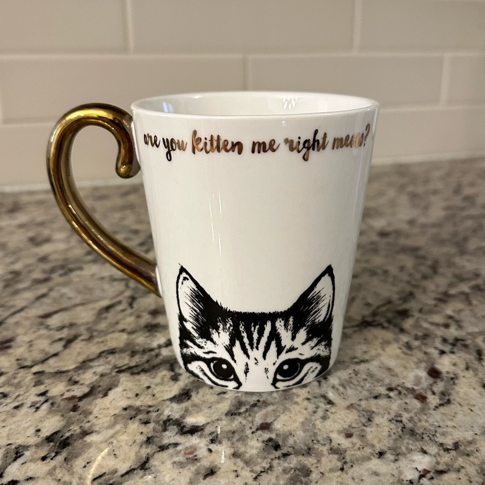 “Are you kitten me right meow?” Mug with metallic handle